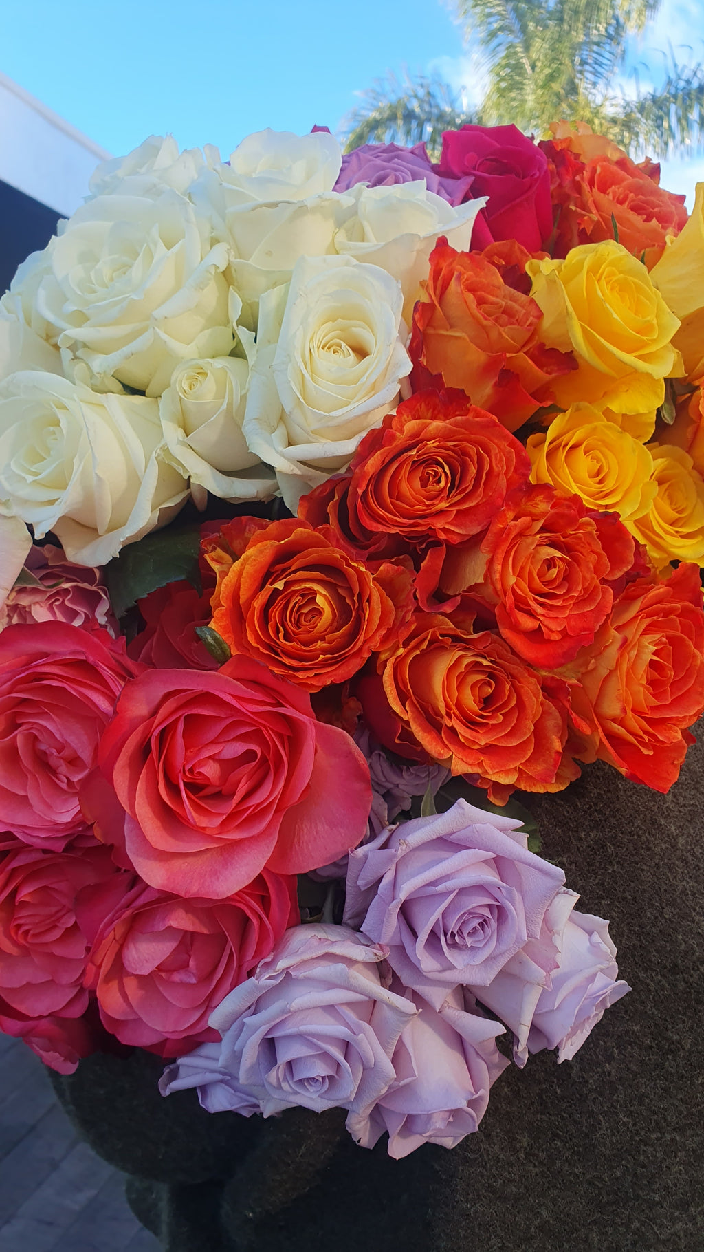 Roses