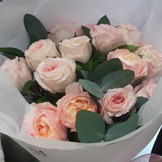 Roses
