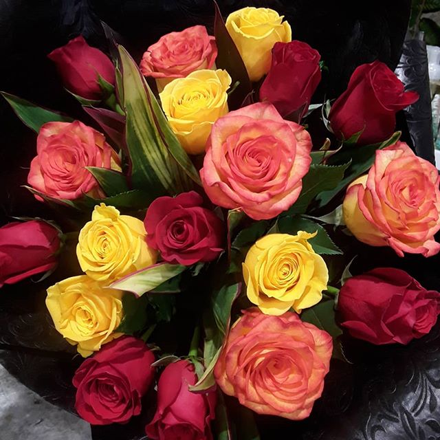 Roses