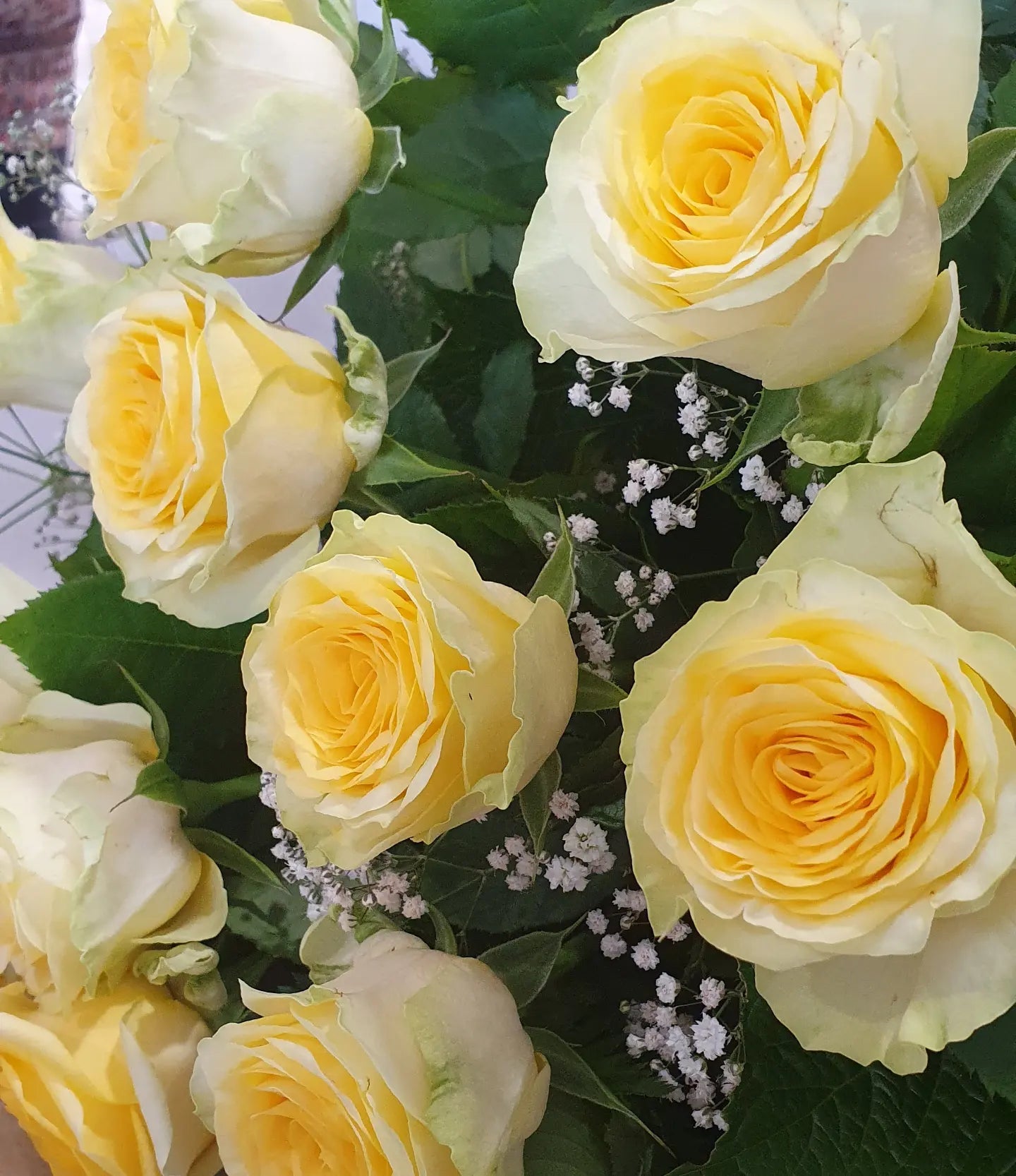 Roses